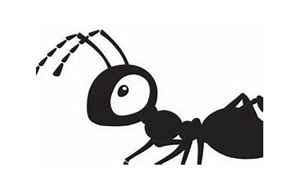 蚂蚁的八字成语(蚂蚁的成语有哪些)