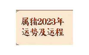 属猪人2023年全年运势及运程(属猪2023年运势及运程详解每月)