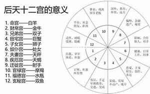 12宫(十二宫代表什么意思)