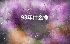 93年是什么命(1993年属鸡人什么命)