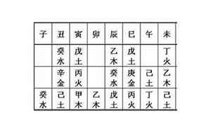 八字和藏干(八字中的藏干有什么用)