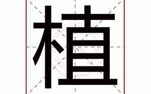 植字五行属什么(植字起名的寓意)