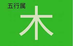 五行属木的字都有什么字(五行木属性起名常用字推荐)