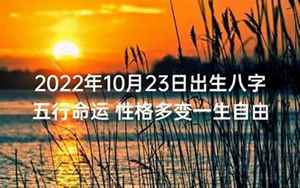 1988年10月廿三出生八字(1988年10月23日出生的人五行缺什么命运好不好)