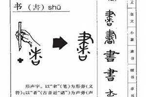 书字起名字的寓意(书字起名字)