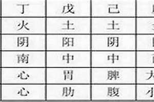 学八字入门基础知识(学八字入门)