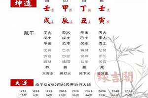 八字看多夫的女命(多夫命八字)