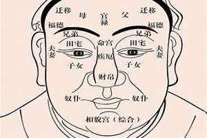 富贵命男人面相特征(富贵命男人面相)