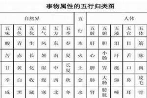 五行全起名字女孩(五行全起名)