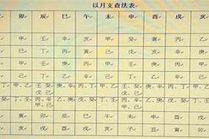 八字 禄马(八字马禄)