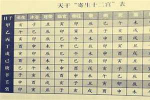 四柱八字注解图(四柱八字注解)