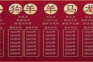 2021年犯太岁的生肖狗佩戴什么好(2021年犯太岁的生肖)