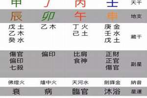 八字算命程序案例(八字算命程序)