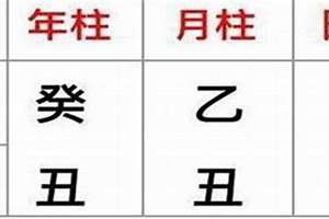 八字四库占三库的命(八字四库库)