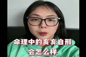 亥亥自刑会发生什么事(亥亥自刑)