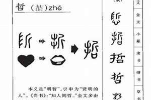 哲字起名搭配寓意的字(哲字起名)