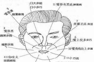 大嘴叉子狗是什么品种(大嘴叉面相)