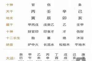 八字合多的男人命运(八字合多的男人)