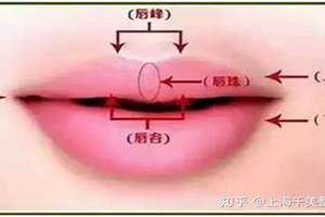 唇角长什么样子(唇角面相)