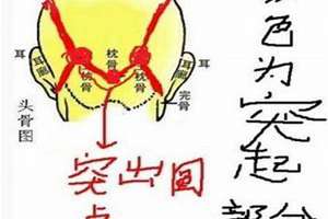 后枕骨看相(后枕骨斜面相)