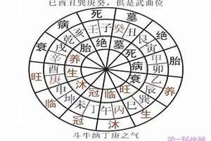 周易看八字准吗(周易看八字)