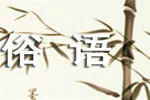 八字俗语大全及意思(八字俗语)