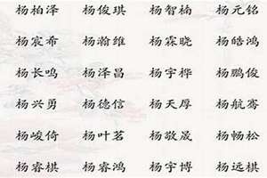 姓杨的鸡宝宝起名字怎么起(姓杨的鸡宝宝起名字)