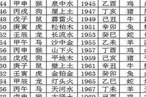 1995年出生的属什么