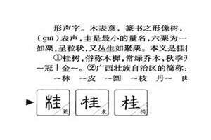 姓桂的孩子起什么名字(姓桂起名字)