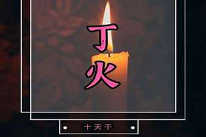 丁火日柱有哪些(丁火日柱面相)