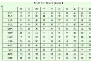 八字吉神凶煞表格图(八字吉神凶煞表)