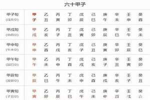 八字具体解析(八字划分)