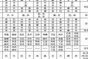 八字贵人表格(八字贵人表)