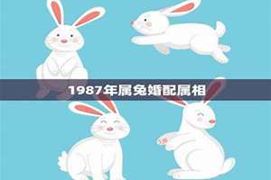 1987年属兔的最佳配偶是什么属相(1987年属兔的最佳配偶)