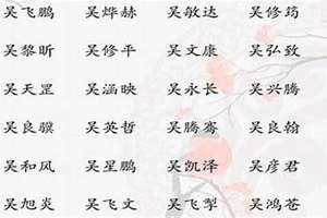 吴姓氏起名男孩带达个字的名字(吴姓氏起名男孩带达个字)