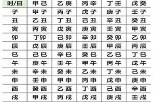 壬辰日柱八字实例(壬辰日柱八字)