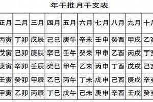 八字有两丙是兄弟吗(八字有两丙)