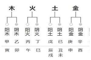 八字极阴男人(八字极阴)