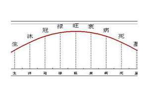 八字运势曲线图测算(八字运势曲线)