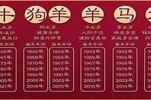 32岁的今年属什么(32岁今年属啥的)