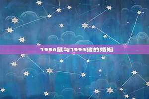 1995属猪婚姻命运如何(1995猪的婚姻)