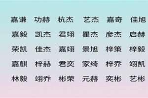 嘉起名字大全男孩龙宝(嘉起名字大全男孩)