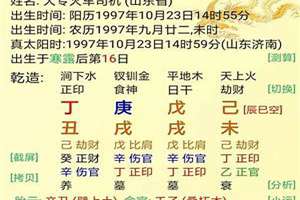 什么八字适合当司机(司机八字)