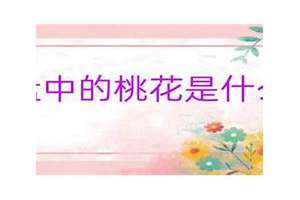 八字桃花命盘查询(八字桃花命盘)