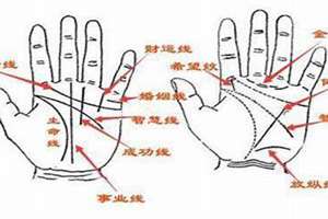 两条平行婚姻线(2条平行婚姻线)