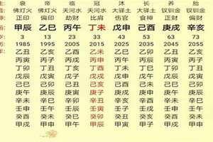 八字五行量化法(八字五行量化)