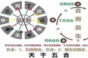 八字甲丙戊的意思(八字甲丙)