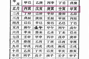 八字已亥相冲(八字已亥)