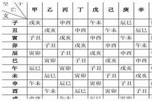 八字速查软件(八字速查)