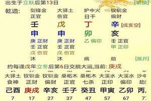 双日干的八字例子(八字例子)